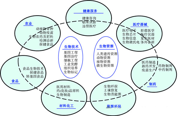 生物經(jīng)濟(jì),一諾生物,廠(chǎng)家,工廠(chǎng),生產(chǎn)廠(chǎng)家,生物經(jīng)濟(jì)規(guī)模